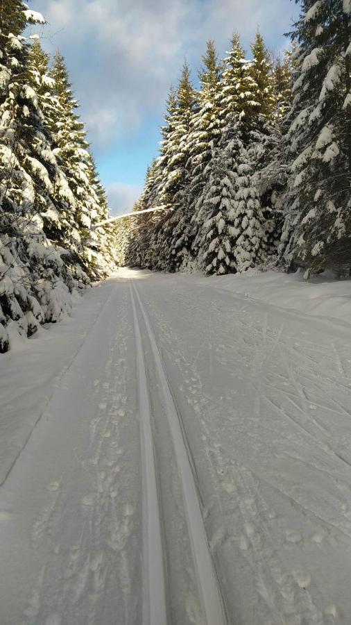 Brevant Železná Ruda